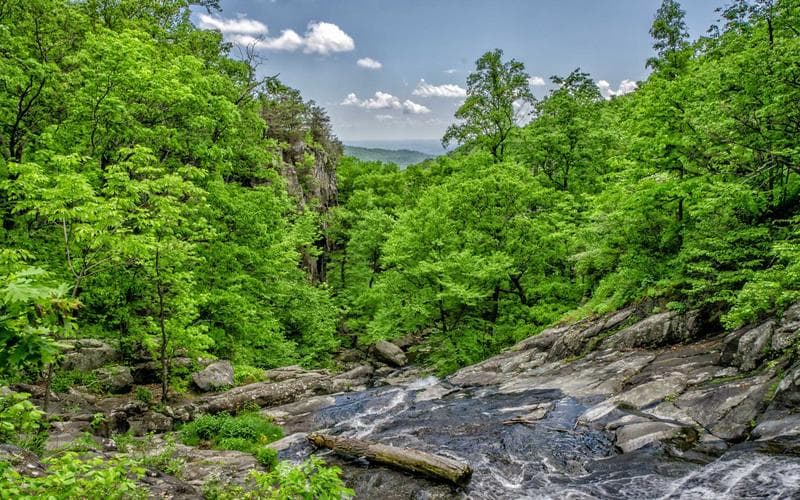 Em Bay Trên Bầu Trời Xanh Thẳm