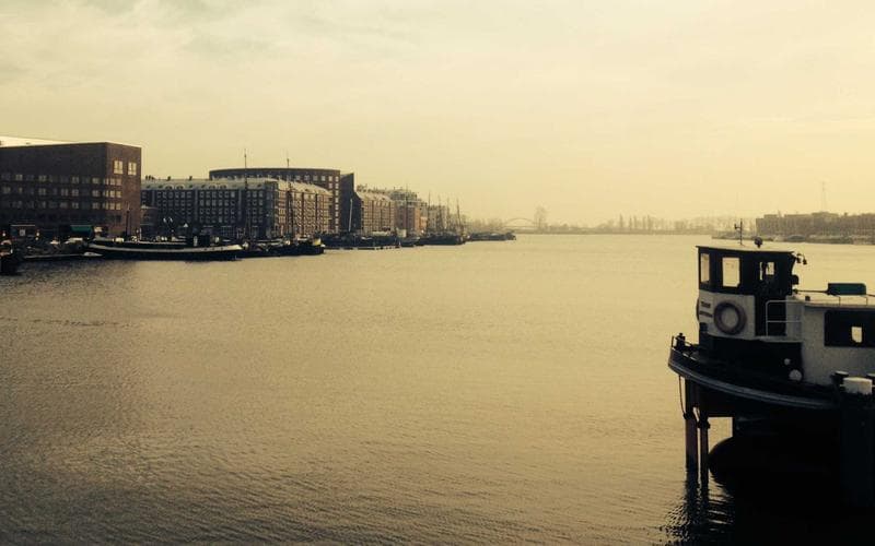 Bảy Cánh Hoa Vàng